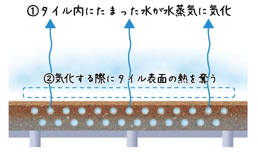 KuraSi-natu-sin103-14.jpg