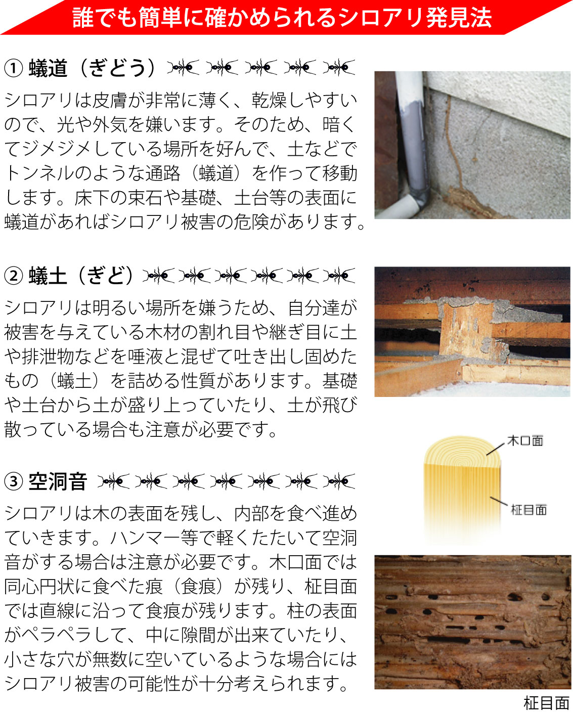 KuraSi-natu-sin48-09.jpg