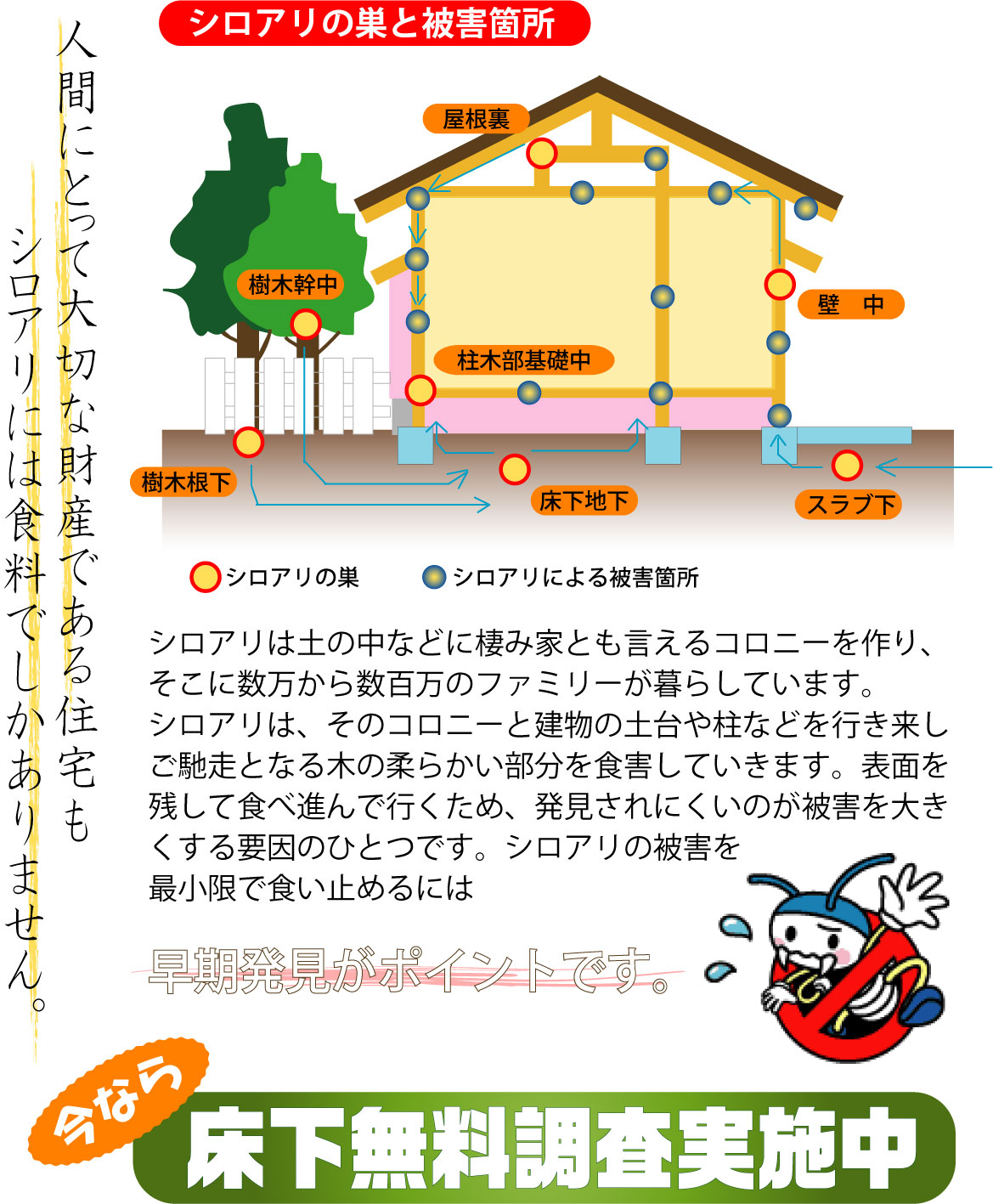 KuraSi-natu-sin48-10.jpg
