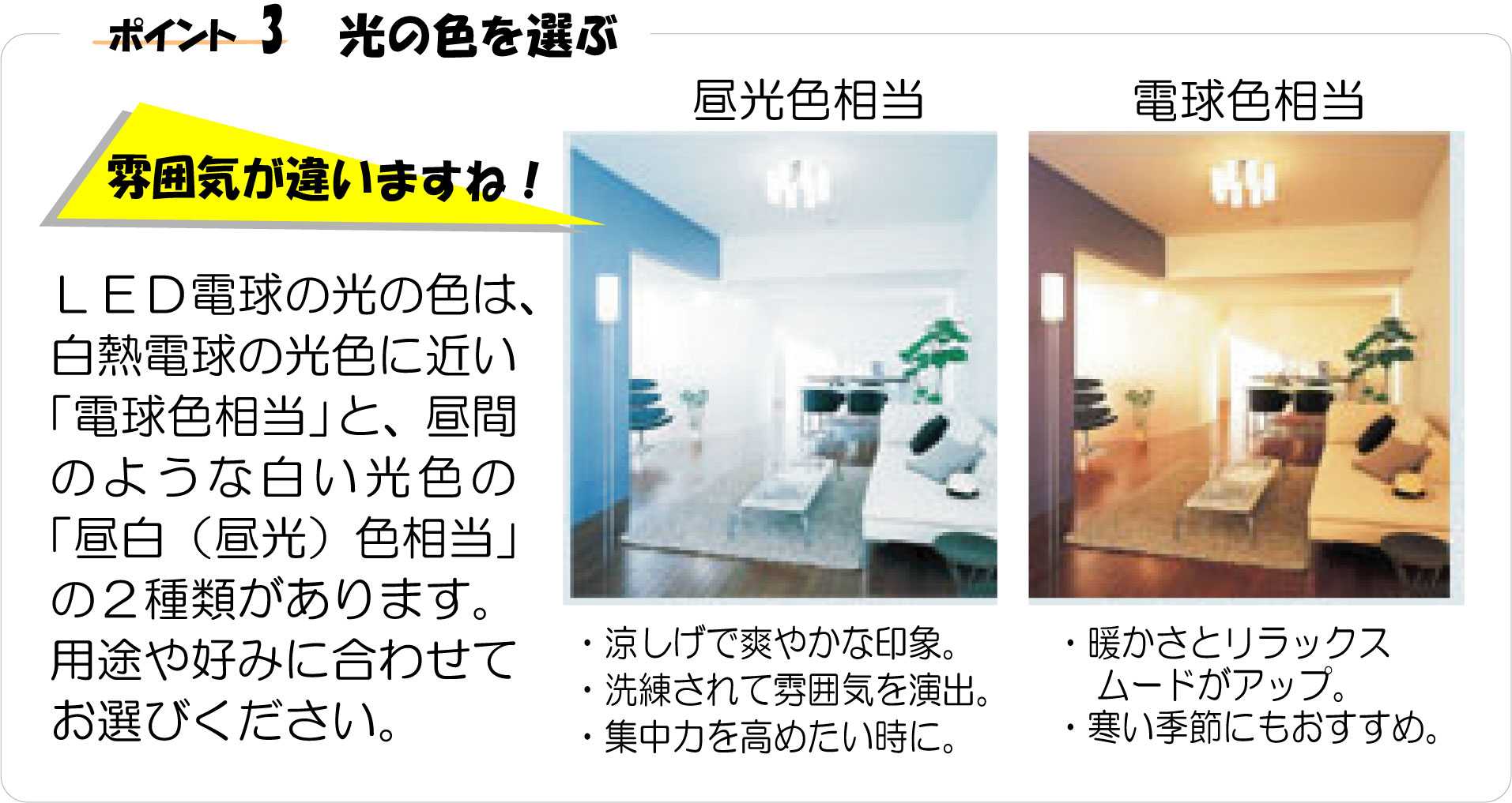KuraSi-natu-sin53-12.jpg