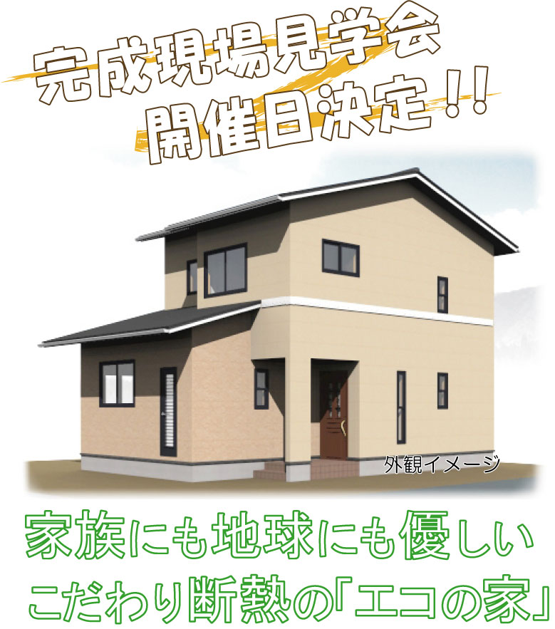Ysamateikansei.jpg