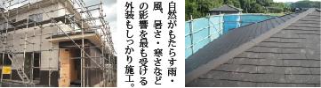 nagaitei2.JPG